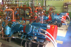 galereya-38
